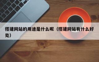 天津搭建网站的用途是什么呢（搭建网站有什么好处）